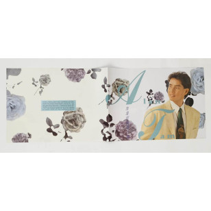 譚詠麟 浪漫經典第二輯 1991 Hong Kong Vinyl LP  香港首版 黑膠唱片 Alan Tam *READY TO SHIP from Hong Kong***